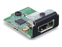 Lenovo - DisplayPort expansion card - with BTB connector - vihreä 4XH1K25075